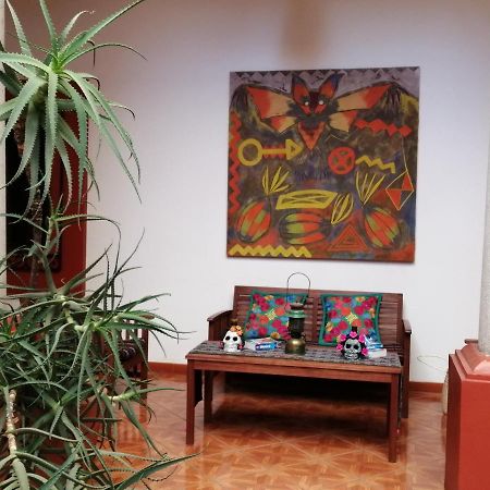לינה וארוחת בוקר Casa Agave Oaxaca מראה חיצוני תמונה