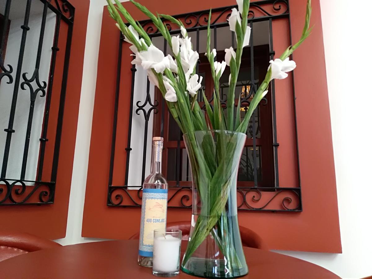 לינה וארוחת בוקר Casa Agave Oaxaca מראה חיצוני תמונה