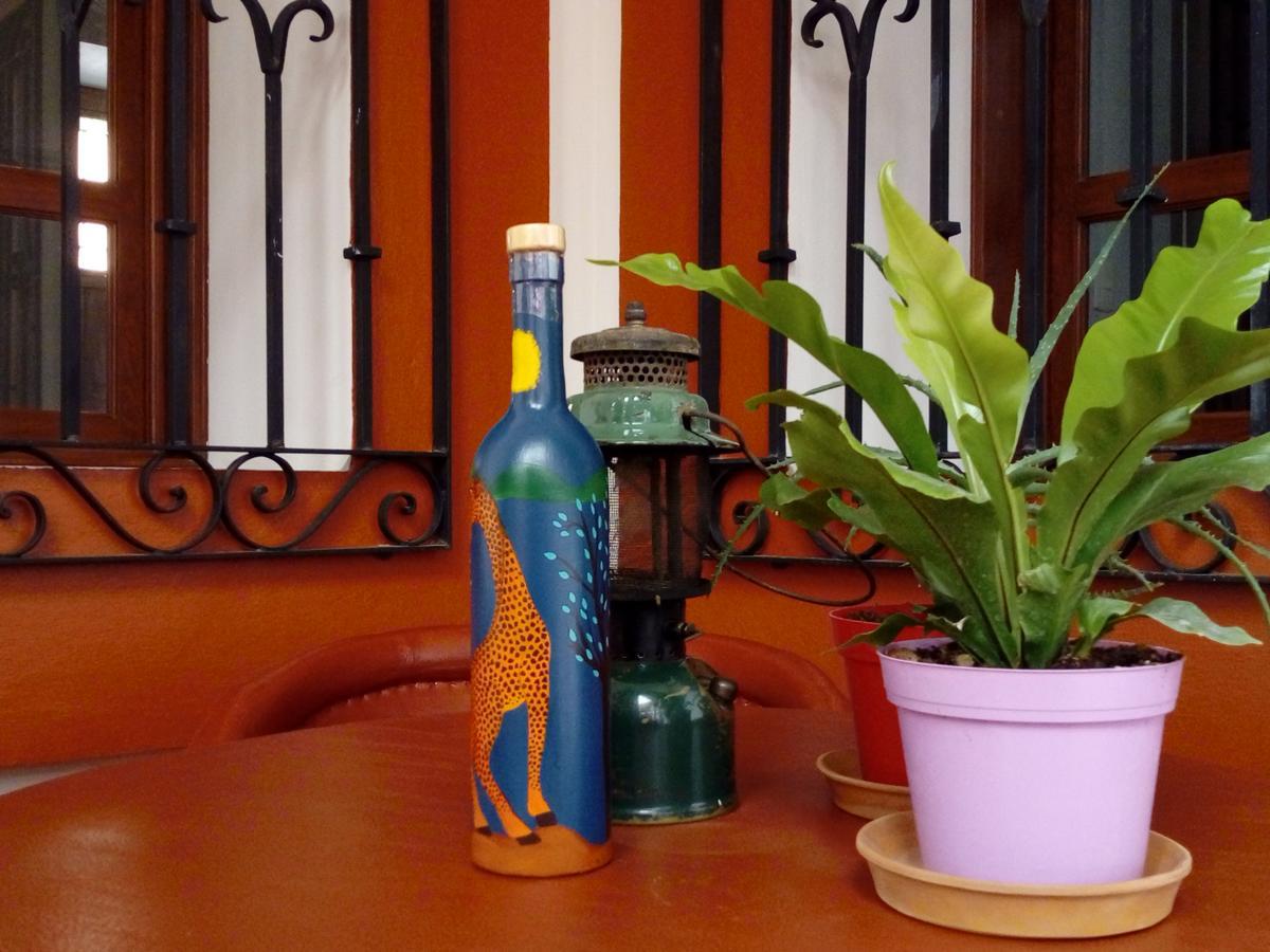 לינה וארוחת בוקר Casa Agave Oaxaca מראה חיצוני תמונה