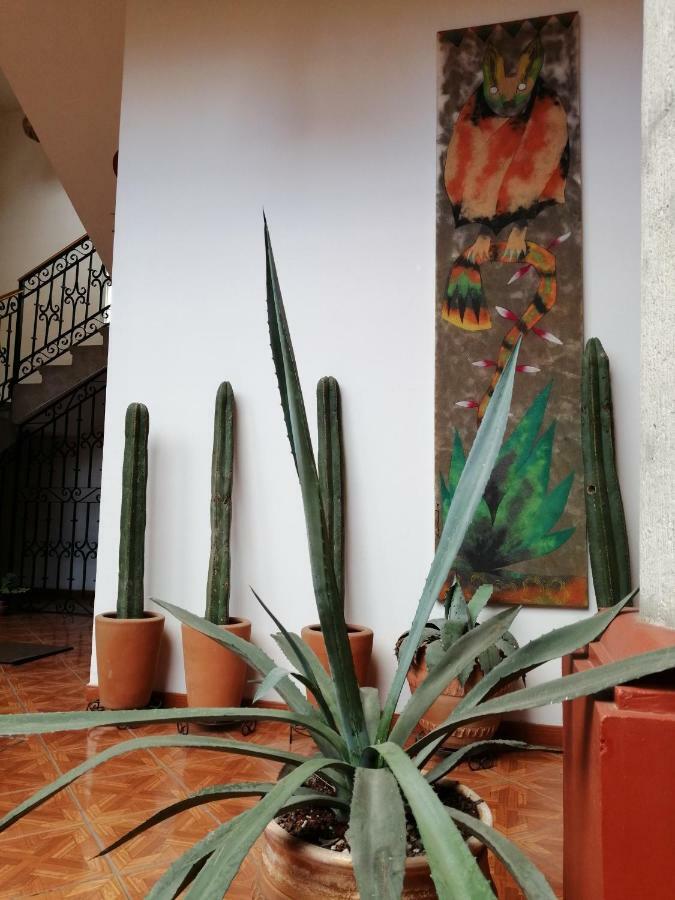 לינה וארוחת בוקר Casa Agave Oaxaca מראה חיצוני תמונה