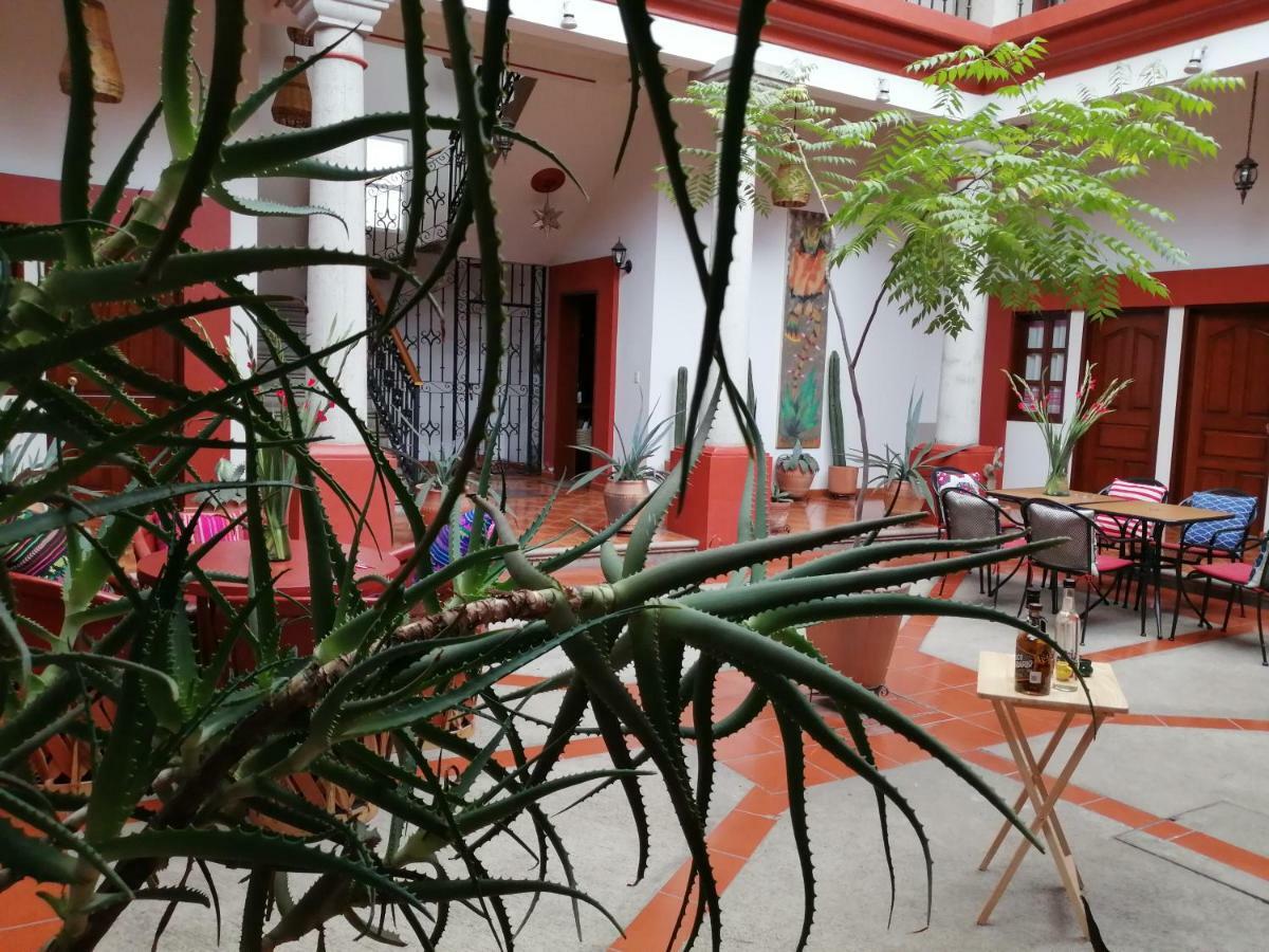לינה וארוחת בוקר Casa Agave Oaxaca מראה חיצוני תמונה